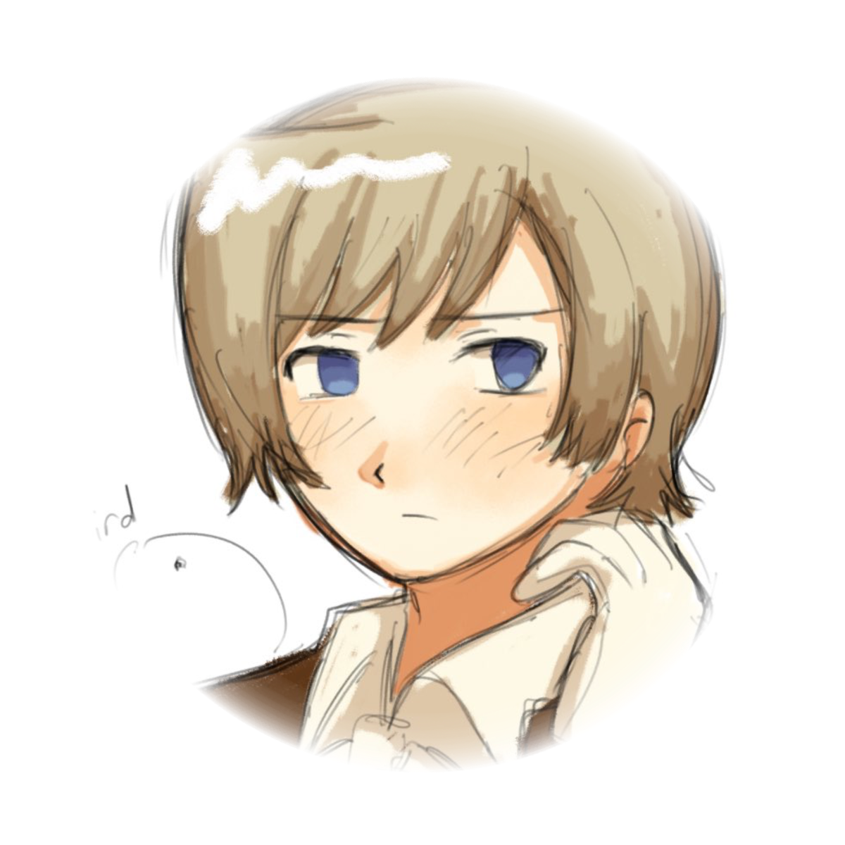 𐙚 ̇. ̊ Iceland ᥫ᭡ Hetalia
