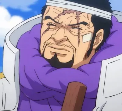 Issho Fujitora