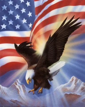Mha in America