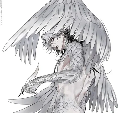 Vulture demihuman - Kite