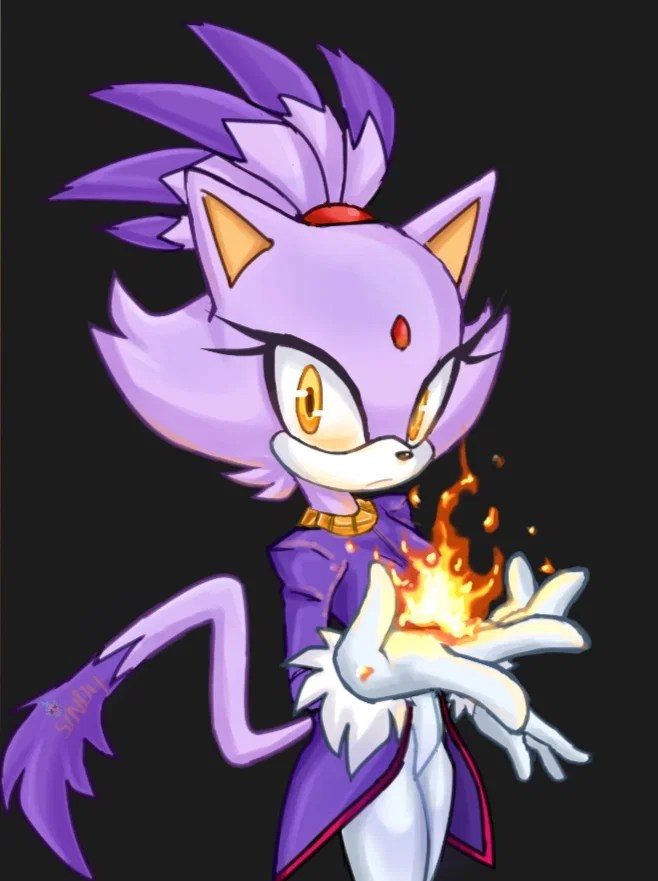 Blaze The Cat
