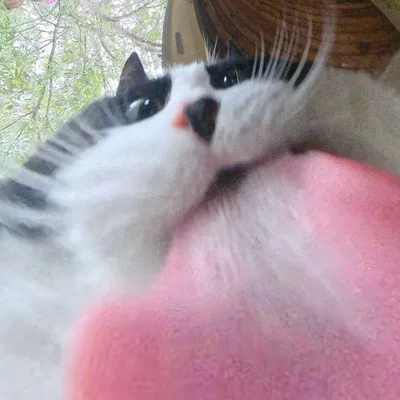 ATTENTION GRABBING IMAGE