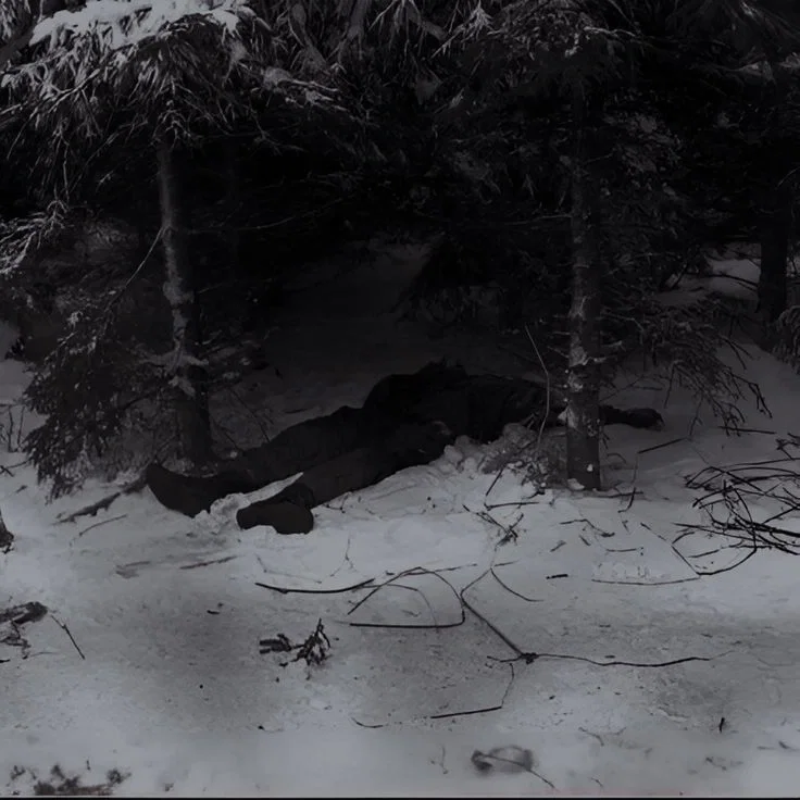 Sebastian Ichnivok | A Christmas Nightmare