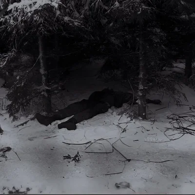 Sebastian Ichnivok | A Christmas Nightmare