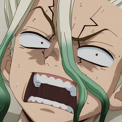 Ishigami Senku