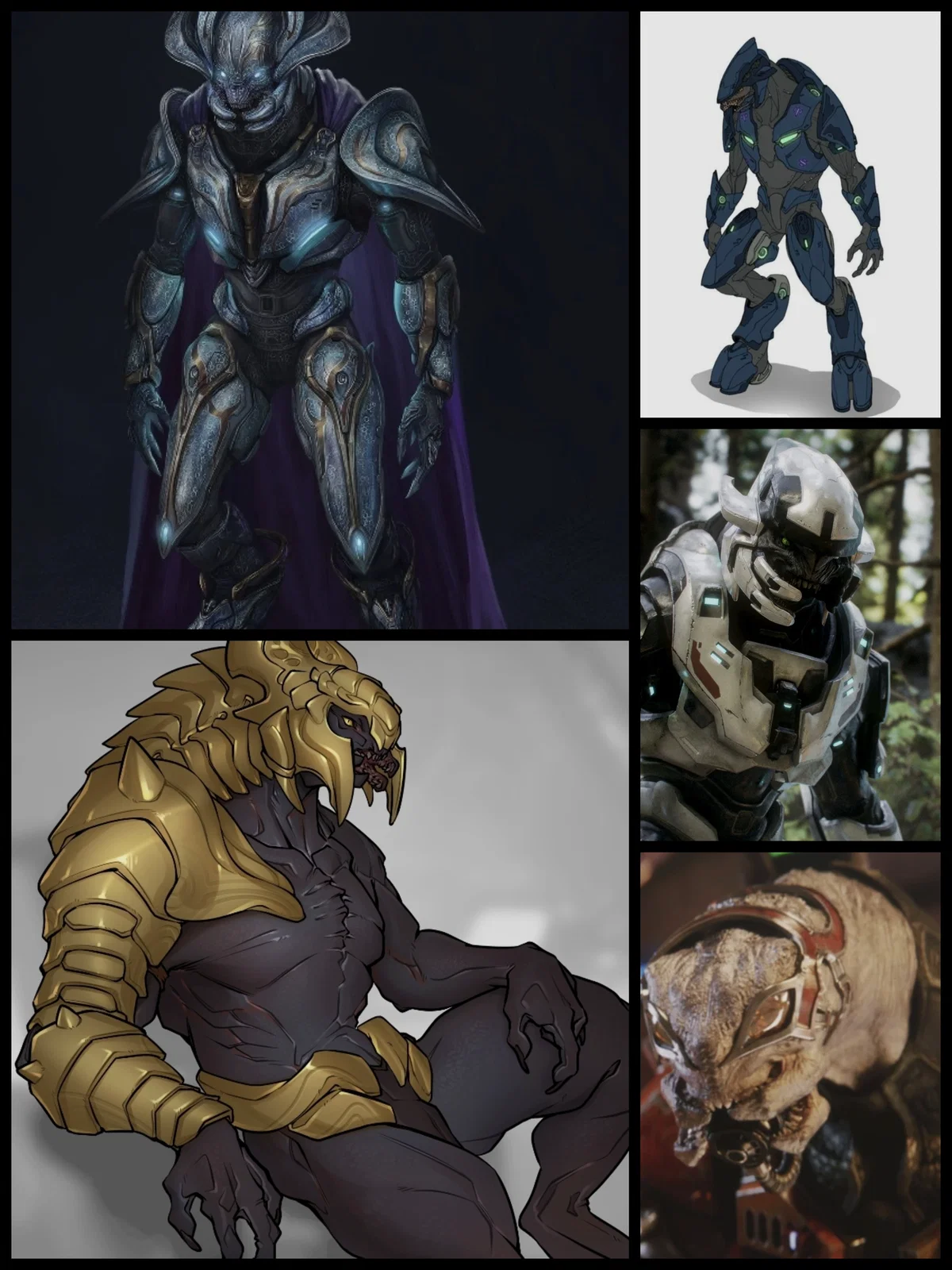 Sangheili Male Only Club (SMOC) -  