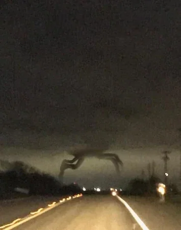 Don’t look up