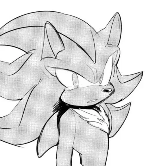 Shadow the Hedgehog 