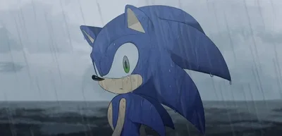 Sonic the hedgehog 