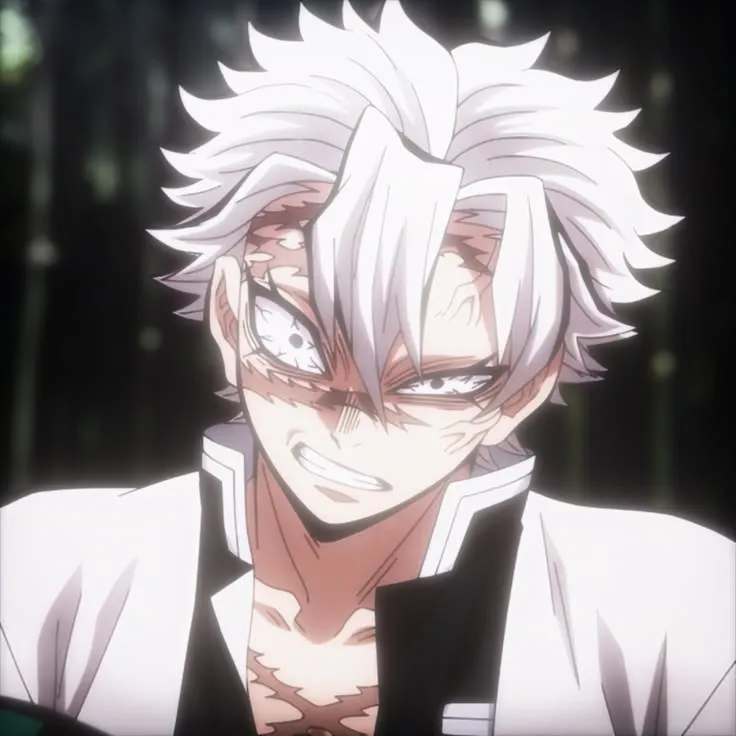 ✯Sanemi Shinazugawa✯