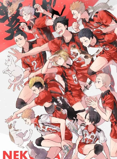 Team NEKOMA | HAIKYUU