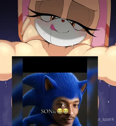 Vanilla The Rabbit(Sonic The Hedgehog)