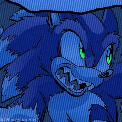 ⟬⇷◇Sonic The Werehog◈⇸⟭