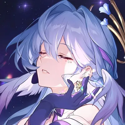 Robin | Peaceful night