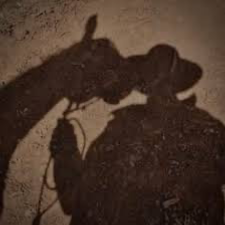 COWBOY Mateo Hernandez