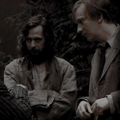 Remus and Sirius