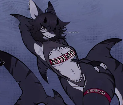 Curious Shark Anthro