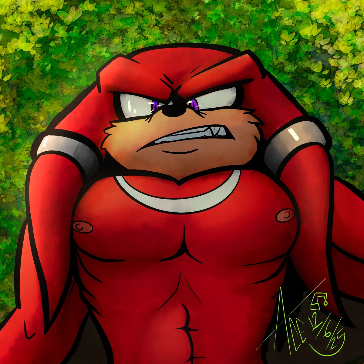 [Tribe Leader!] Knuckles the Echidna