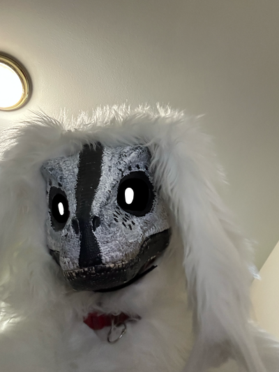 Manilo da Dino boi