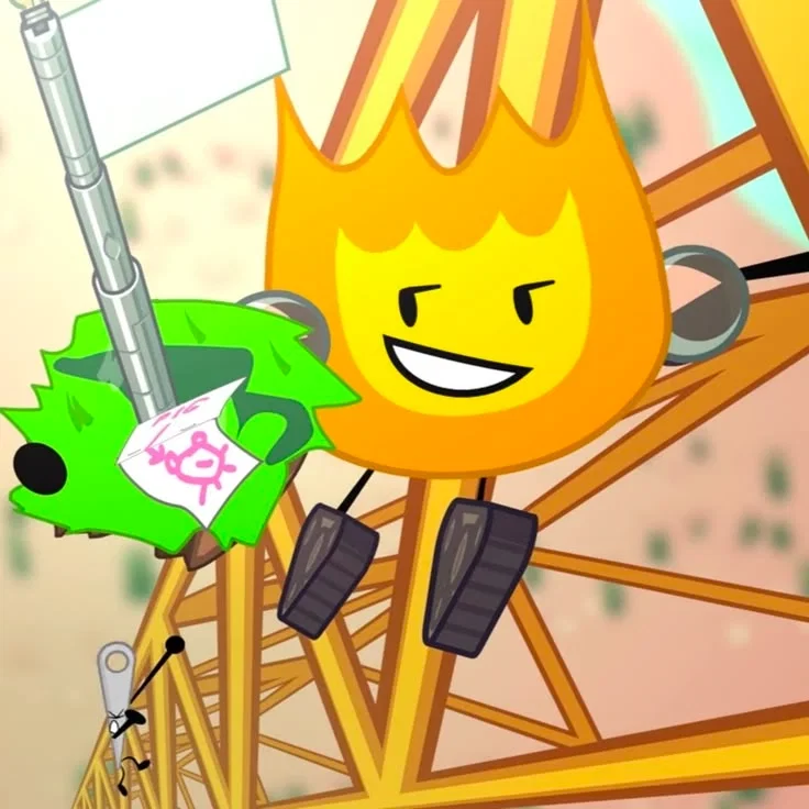 Bfdi: Cult Of Winner