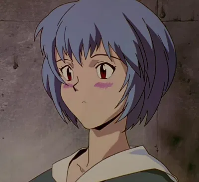 Rei Ayanami | Cleaning 