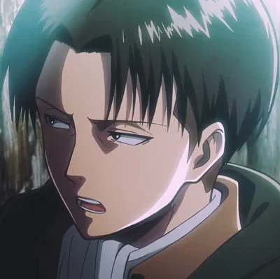 levi ackerman 