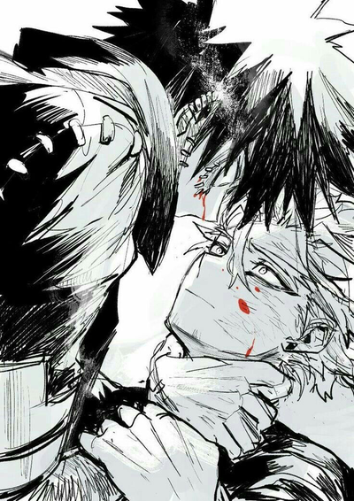 Toya Todoroki and Keigo Takami | DabiHawks
