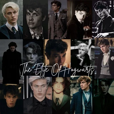 The Elite Of Hogwarts