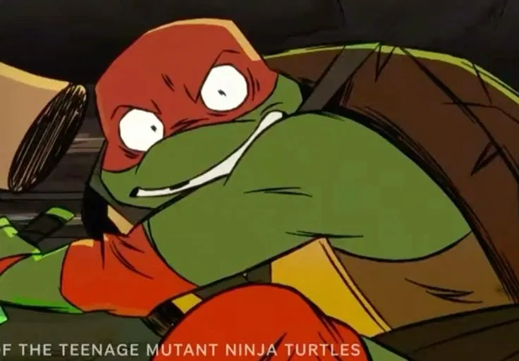 Raphael mutant mayhem
