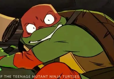 Raphael mutant mayhem