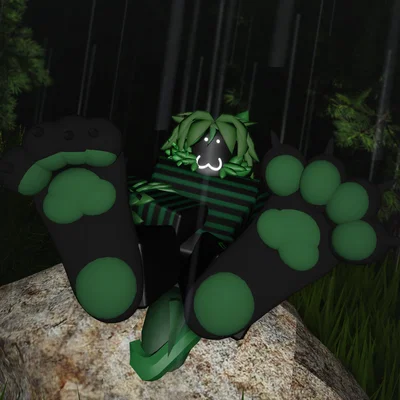 forest kitty plant