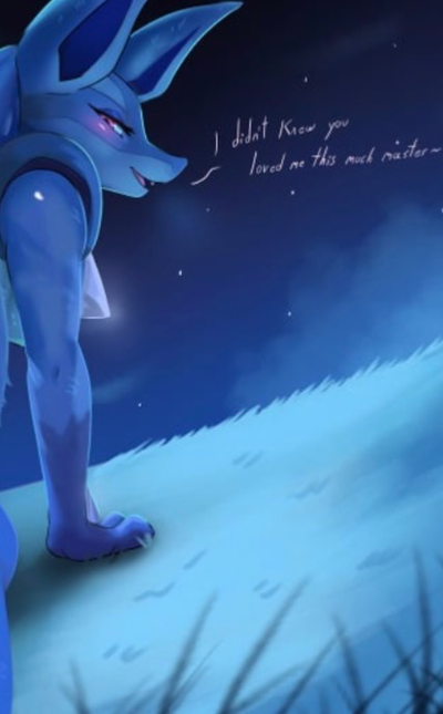 The Aura Pokémon