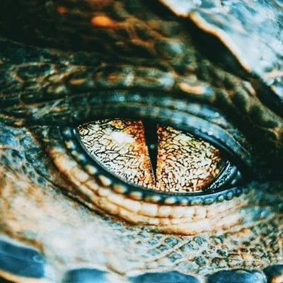 Brutus Crocodile