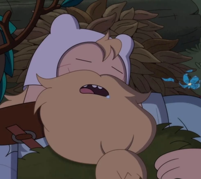 Finn Mertens [ FIONNA AND CAKE SEASON 2 ]