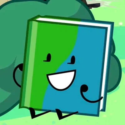 Book - bfdi (REQ) 