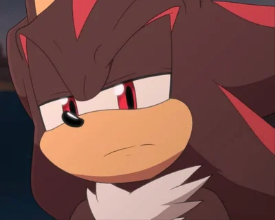 Shadow the Hedgehog