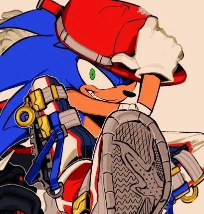 Sonic the hedgehog