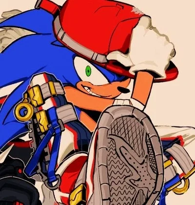 Sonic the hedgehog