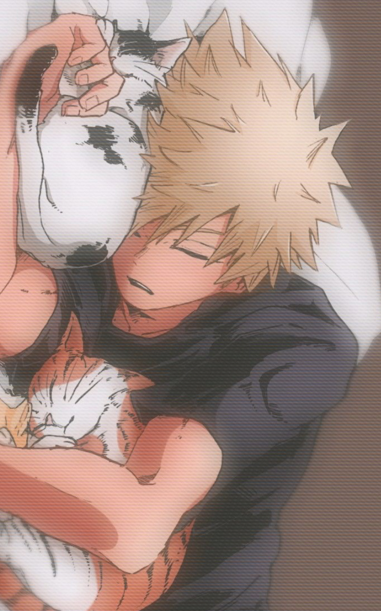 Bakugo Katsuki