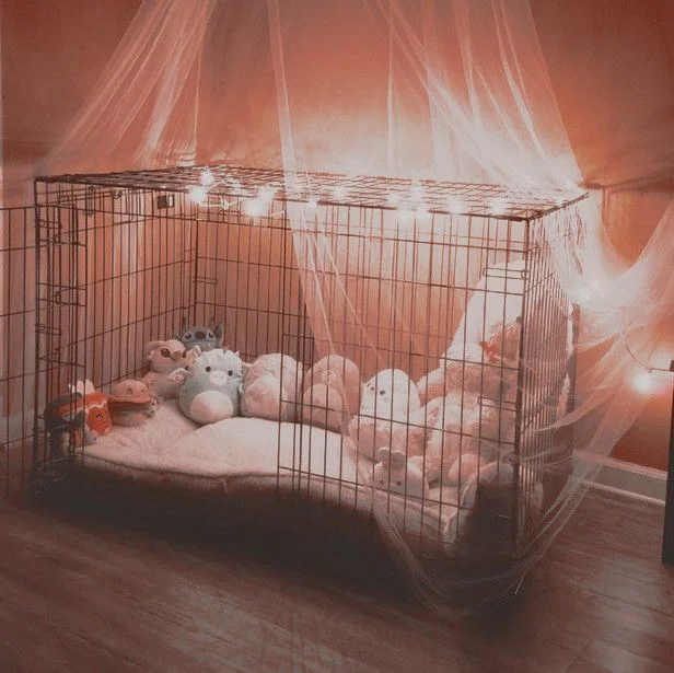 His Puppy | Simon 