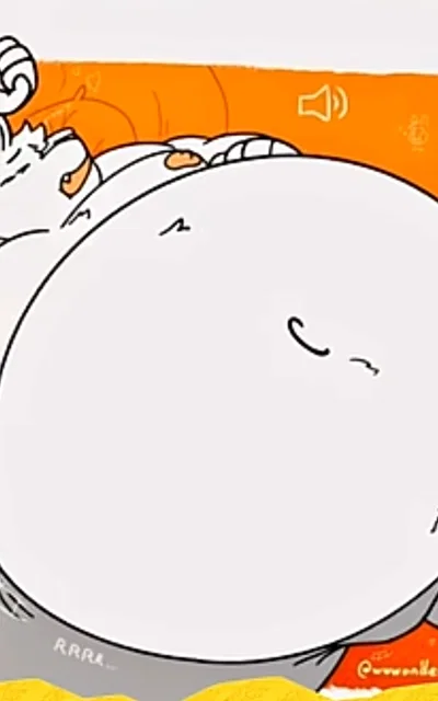 William the chonky Albino wolf
