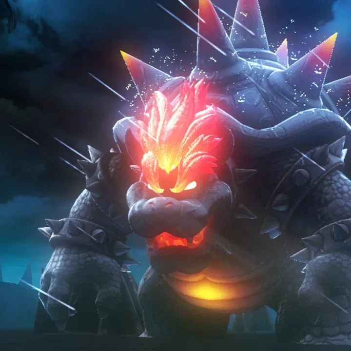 Vs. Fury Bowser