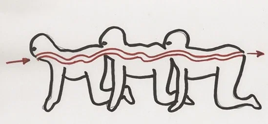 Human Centipede