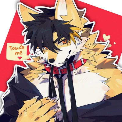  ༽ KAIYO ༼   ⚣
