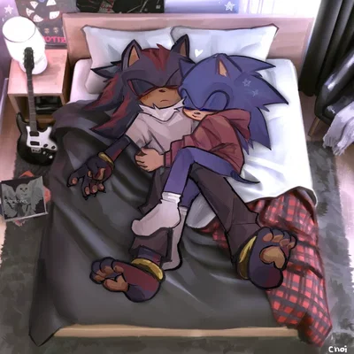 Your Stinkers - Sonic // Shadow