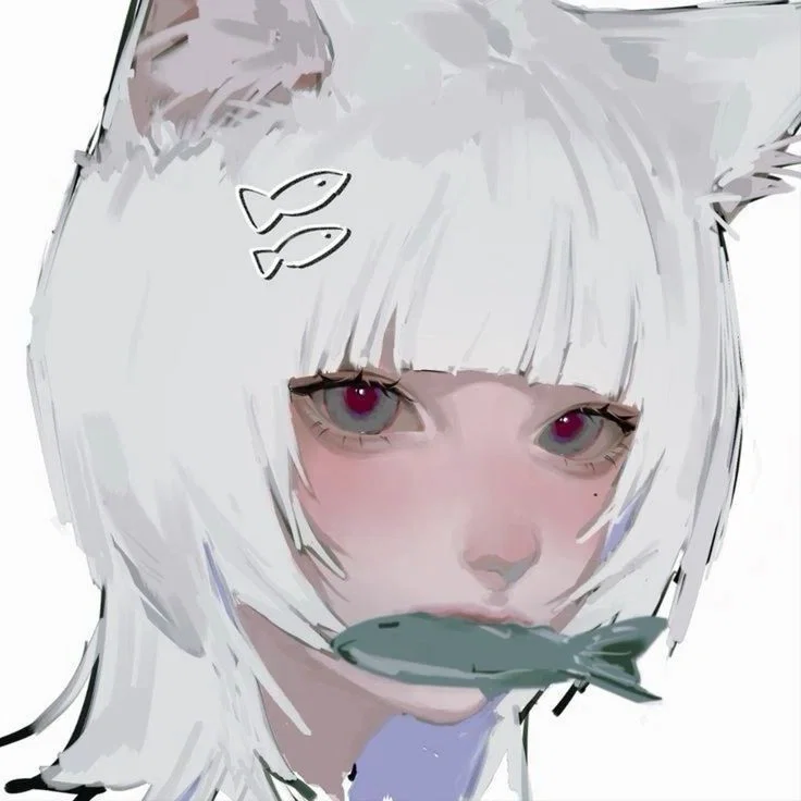Niko/ Your Cat