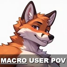 【 Kairo - Macro POV 】