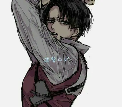 Levi Ackerman