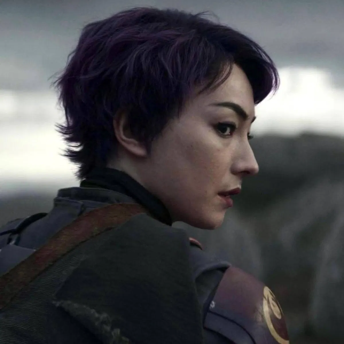 Sabine wren 