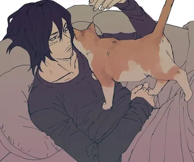 Shota Aizawa